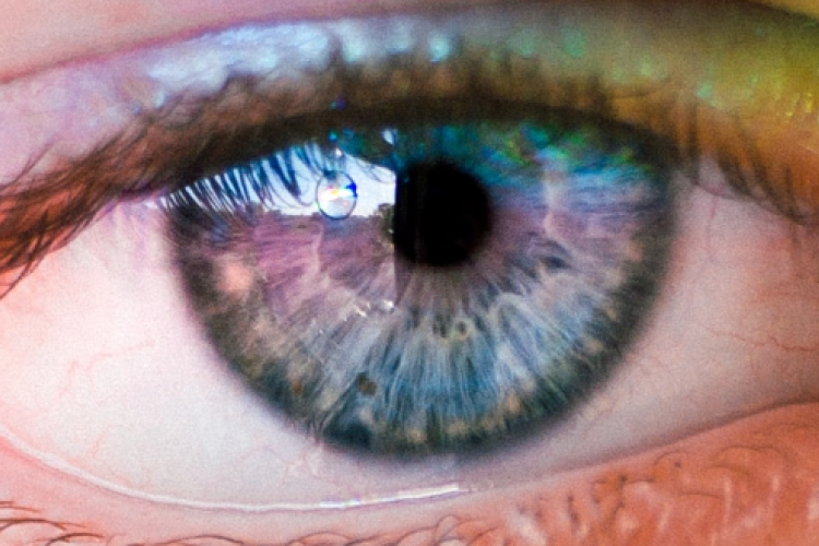 eye